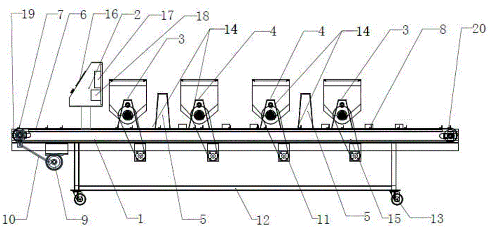 Seedling plug tray sowing equipment