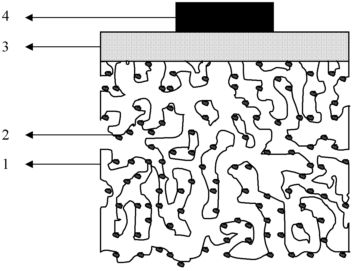 Three-layered structured oxide fuel cell supported by stainless steel and preparation method thereof