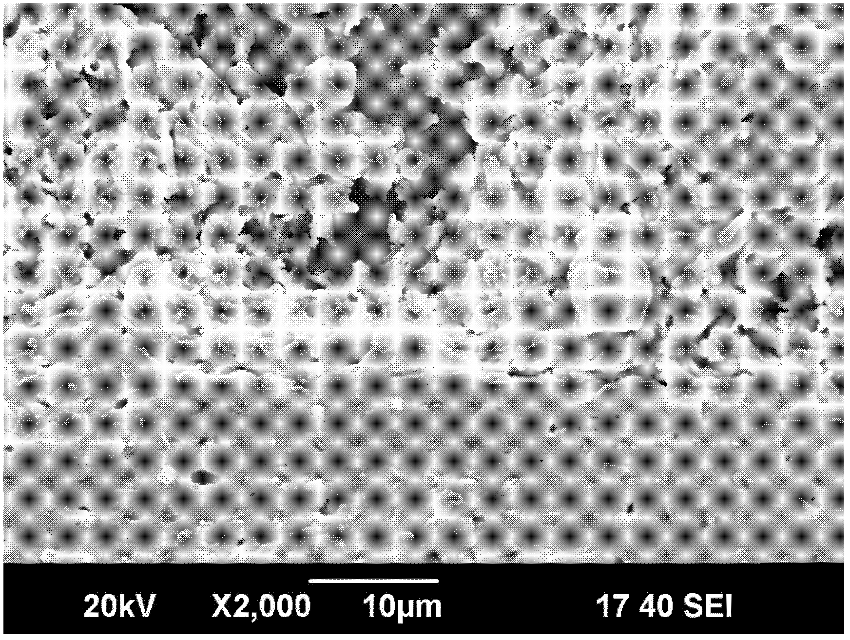 Three-layered structured oxide fuel cell supported by stainless steel and preparation method thereof