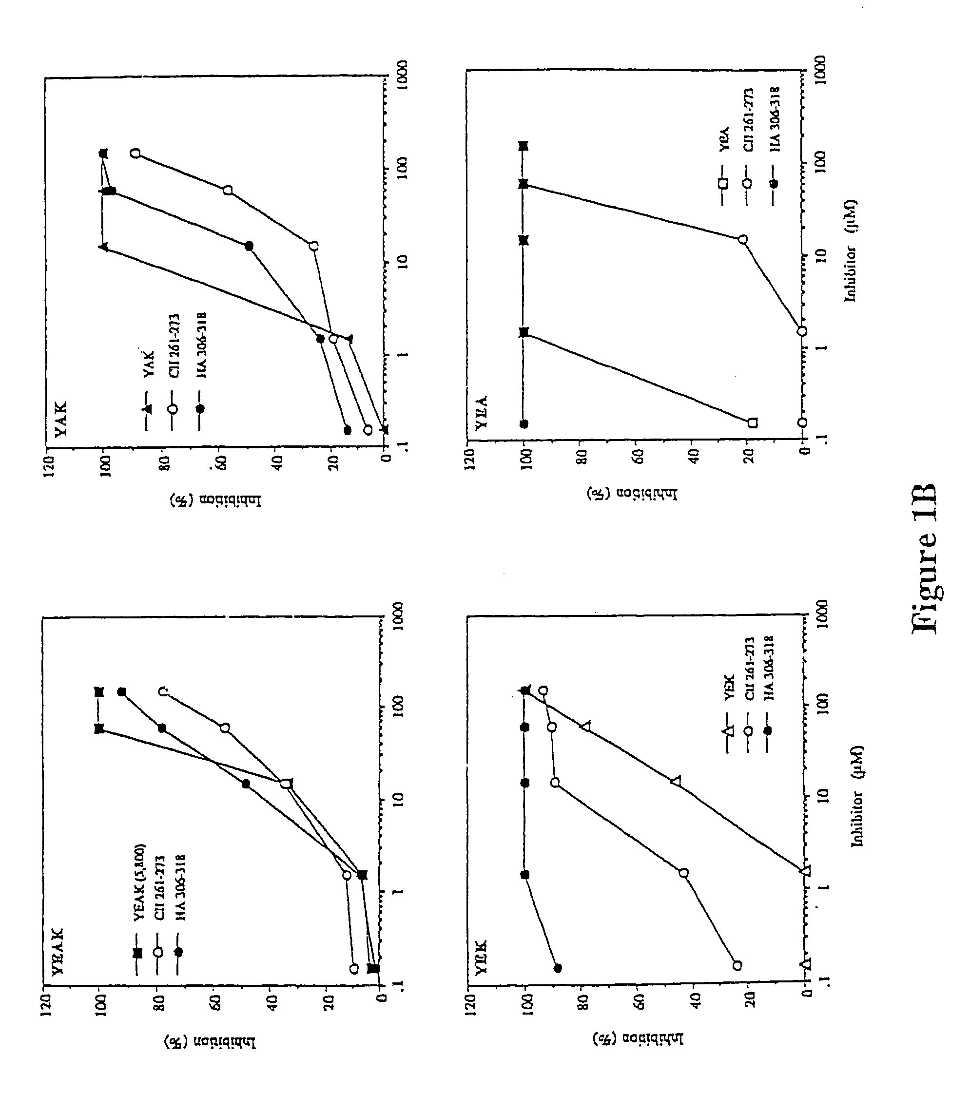 Treatment of autoimmune conditions with copolymer 1 and related copolymers