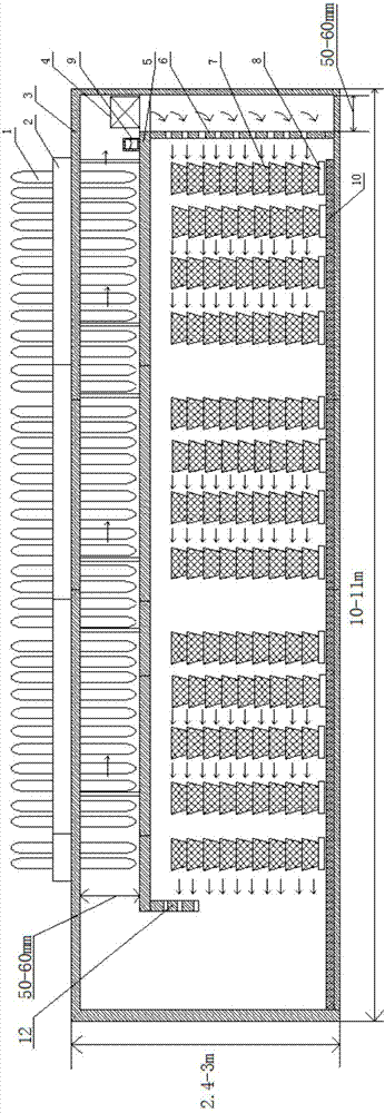 Lingwu long jujube precooling method used for preventing cold injury and surface dot piting