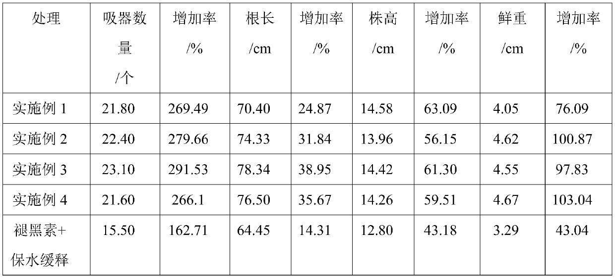 Compound slow-release type plant growth accelerant and application thereof to promotion of santalum album parasitic haustorium development