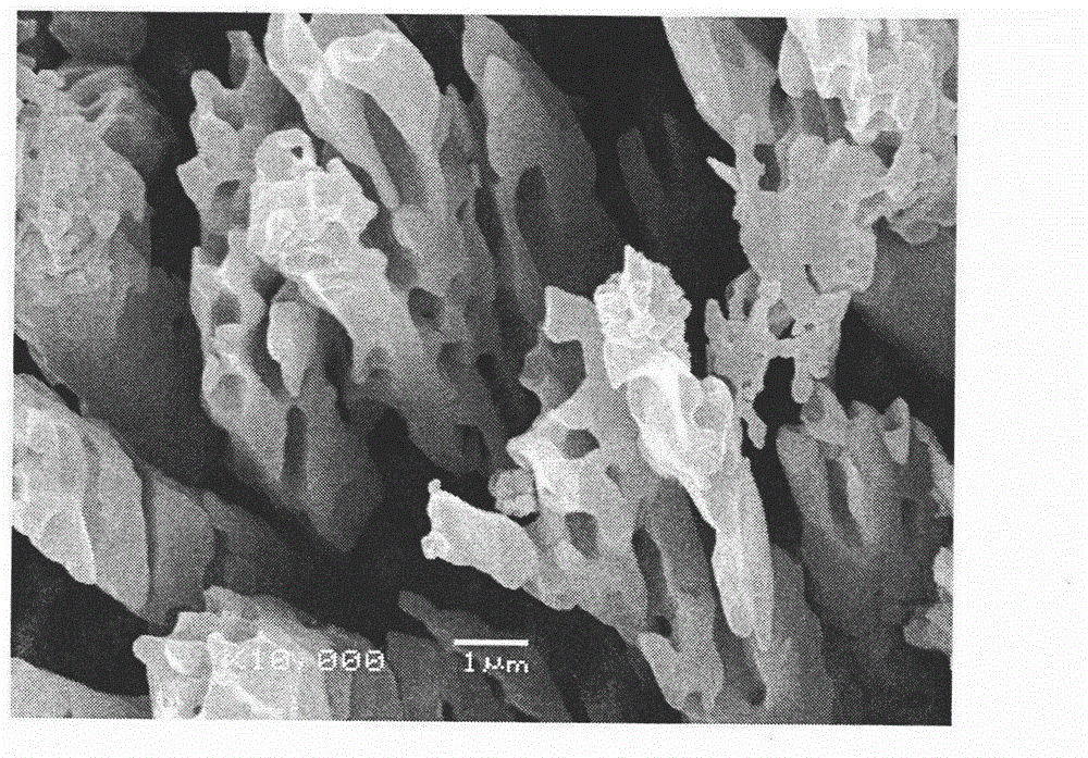 Construction method for composite ceramic bone scaffold surface micro-nano pores