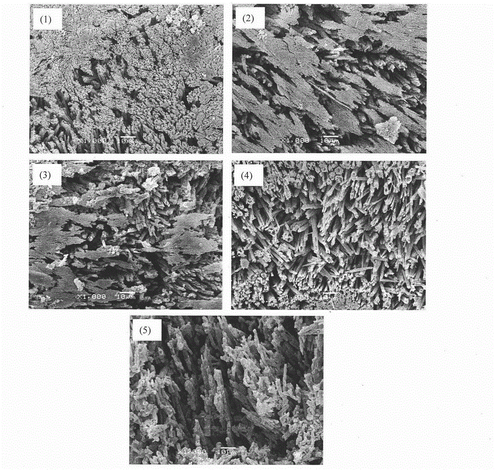 Construction method for composite ceramic bone scaffold surface micro-nano pores