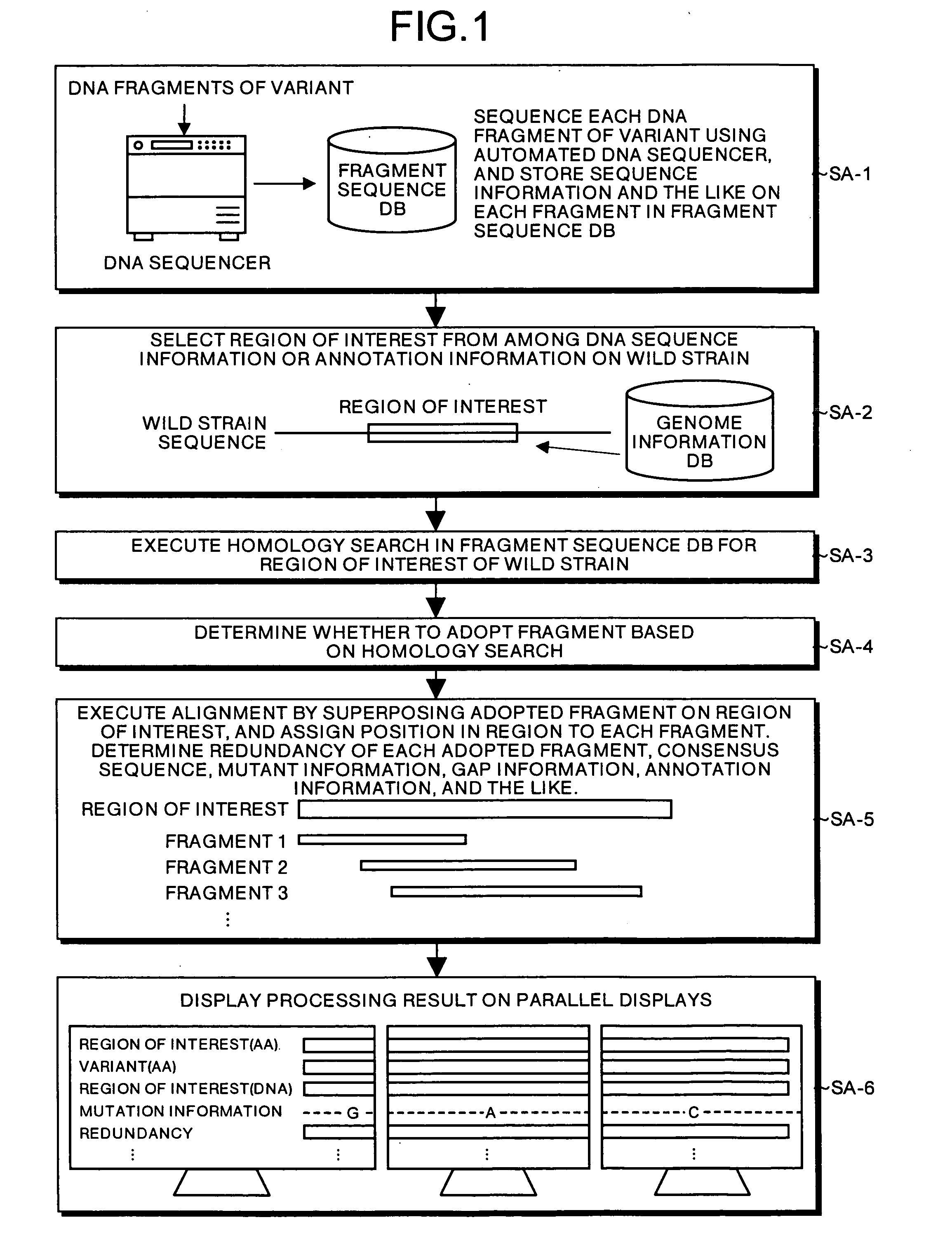 Mutant sequence analyzer