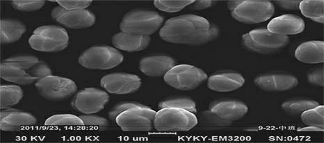 Preparation method of cobalt carbonate for battery