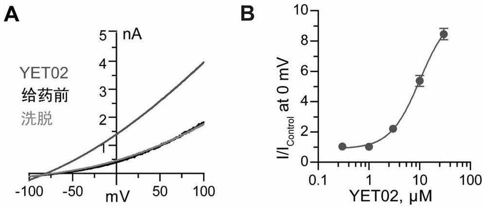 Compound for preventing and treating pain and application thereof