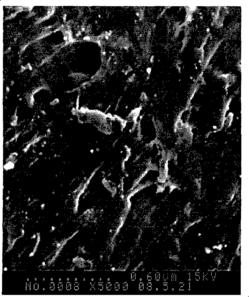 Nano zinc oxide / polypropylene / polylactic acid composite fiber material and preparing method thereof