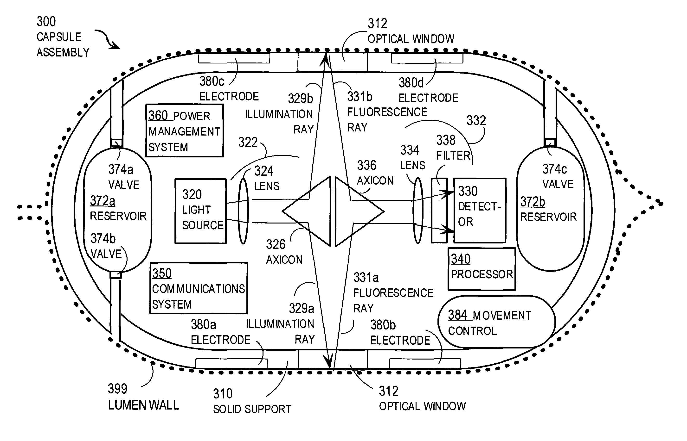 Techniques for identifying molecular structures and treating cell types lining a body lumen using fluorescence