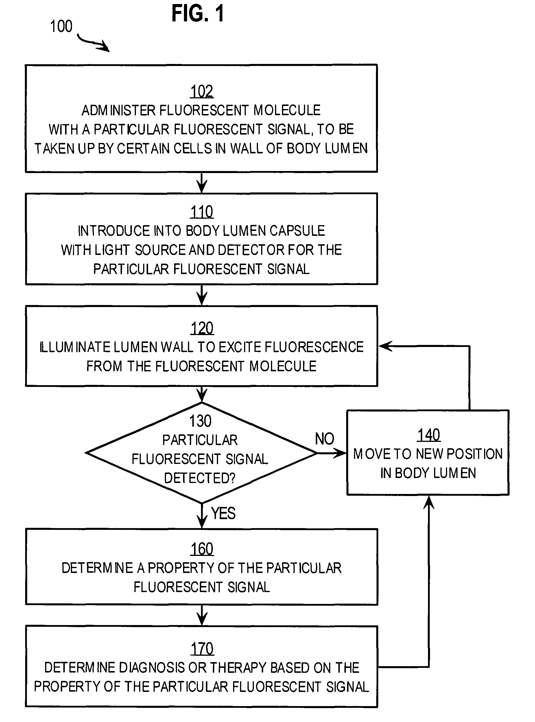 Techniques for identifying molecular structures and treating cell types lining a body lumen using fluorescence