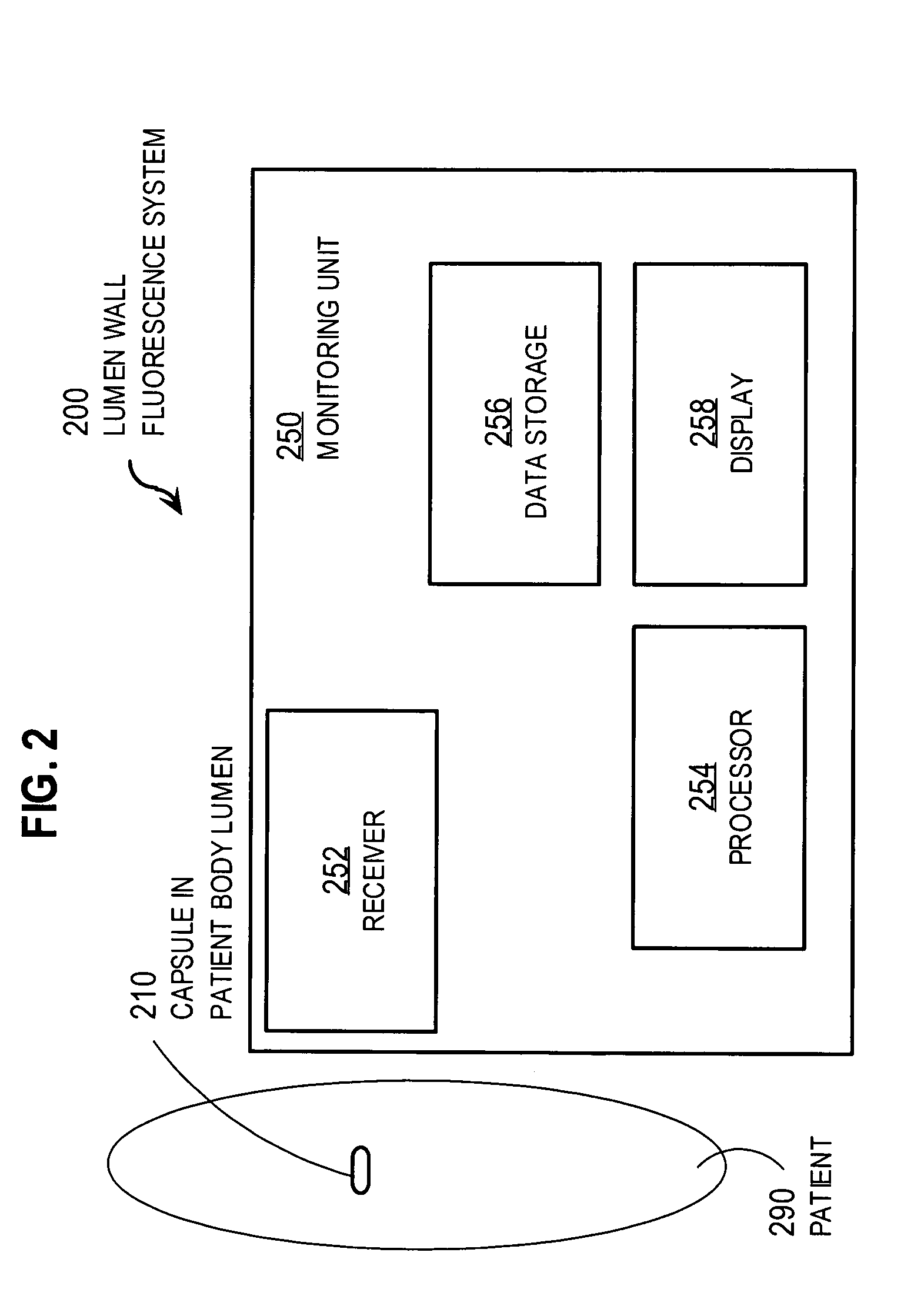 Techniques for identifying molecular structures and treating cell types lining a body lumen using fluorescence