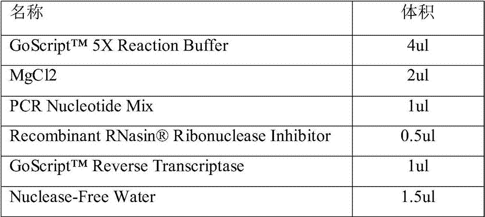 Tumor marker related to colorectal cancer and application