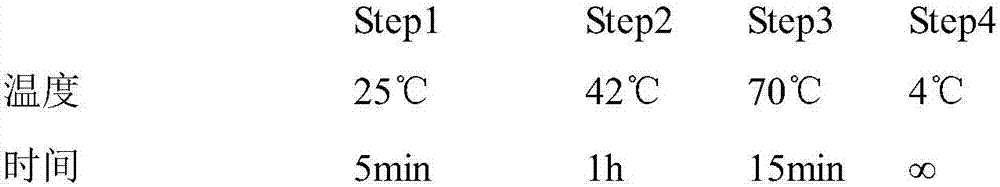 Tumor marker related to colorectal cancer and application