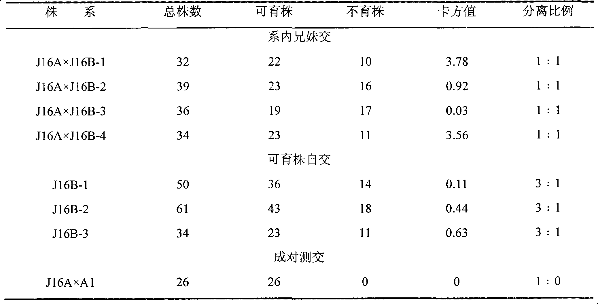 Transformation method of zinnia male sterile dual-use system