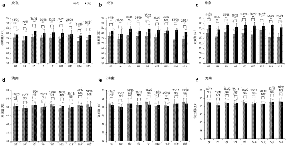 Maize molecule assisted breeding method