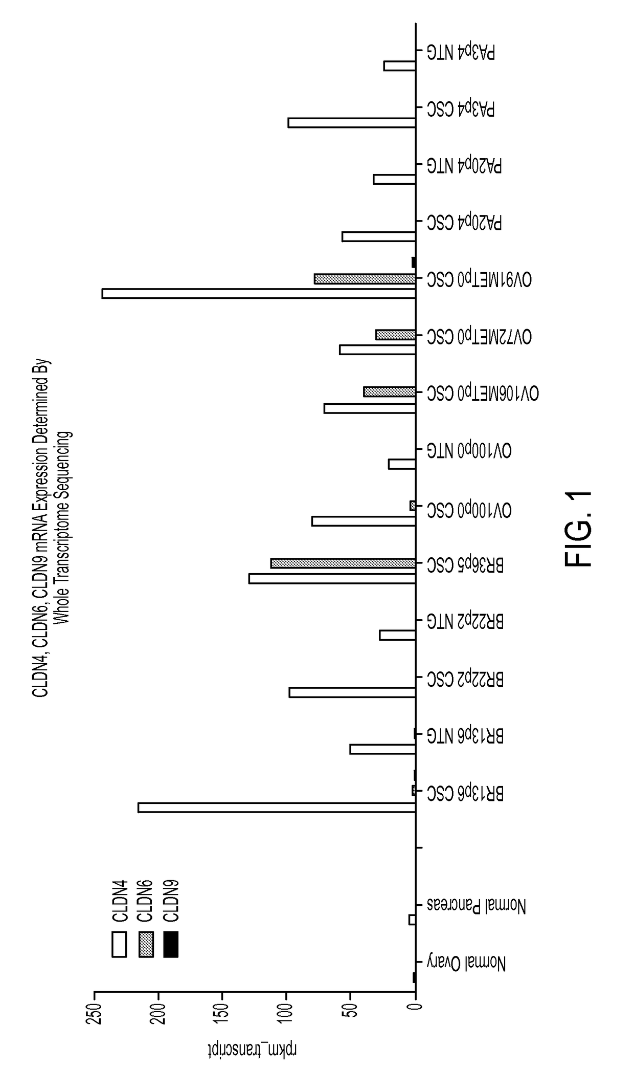 Anti-claudin antibodies and methods of use