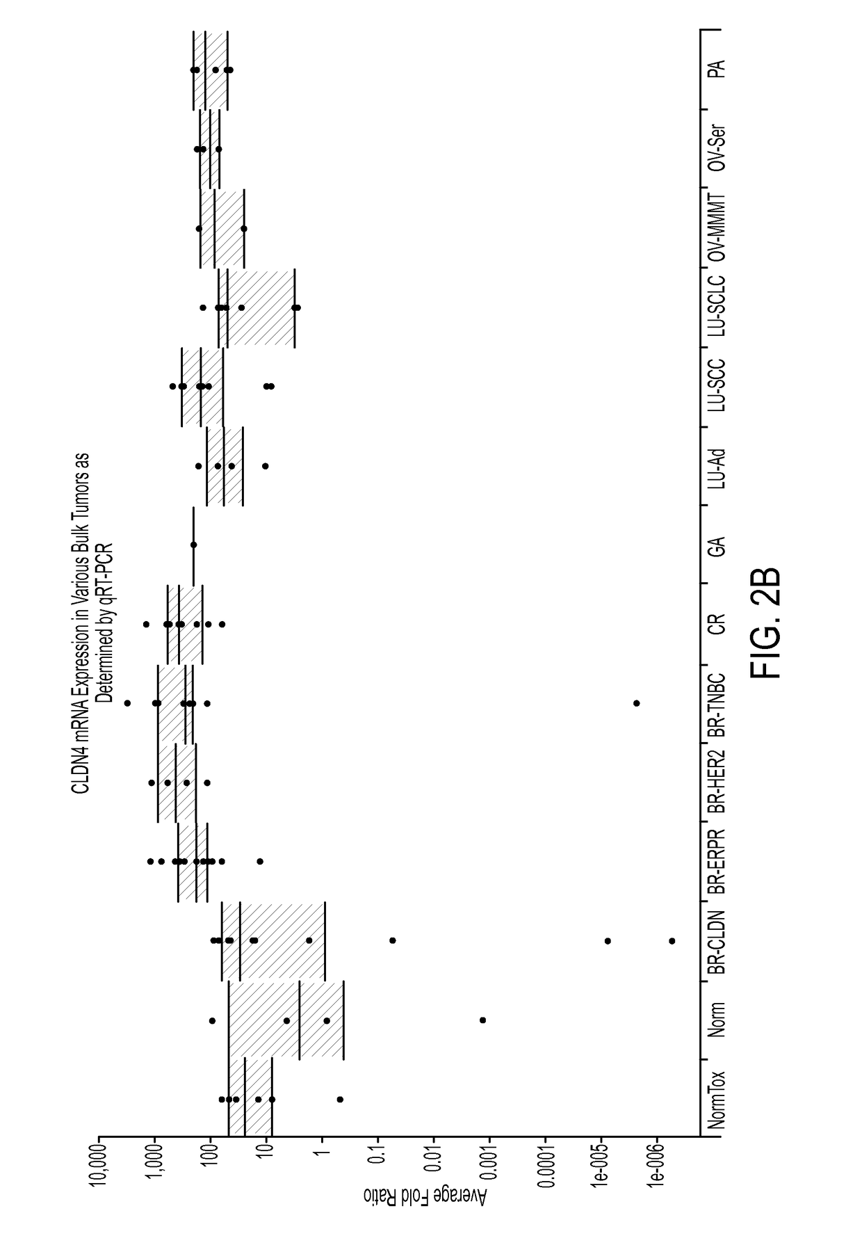 Anti-claudin antibodies and methods of use