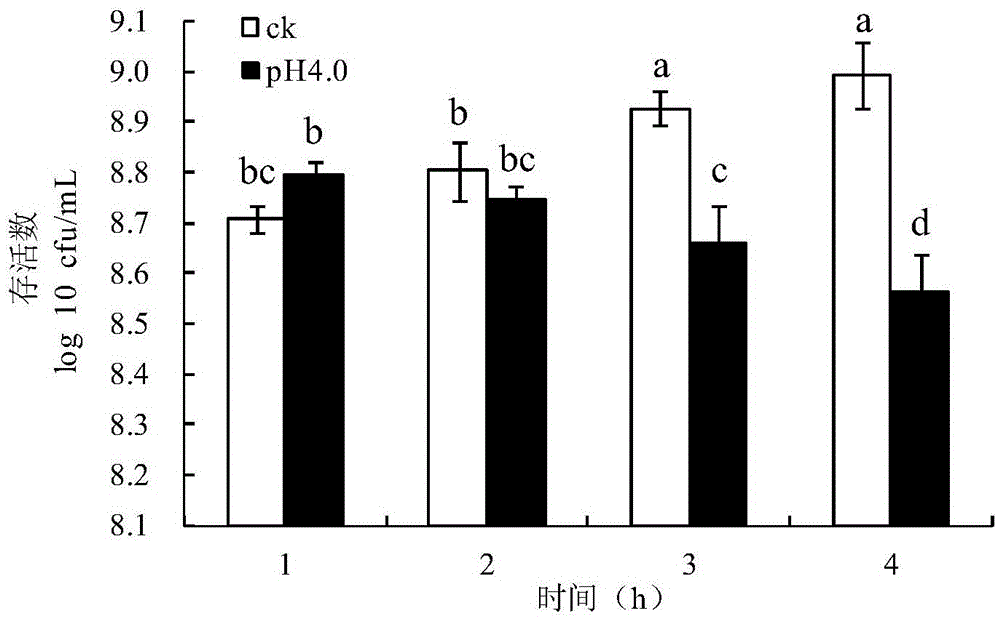 Application of AI-2 in improving bacteria acid resistance and/or oxygen resistance and method for improving bacteria acid resistance and/or oxygen resistance