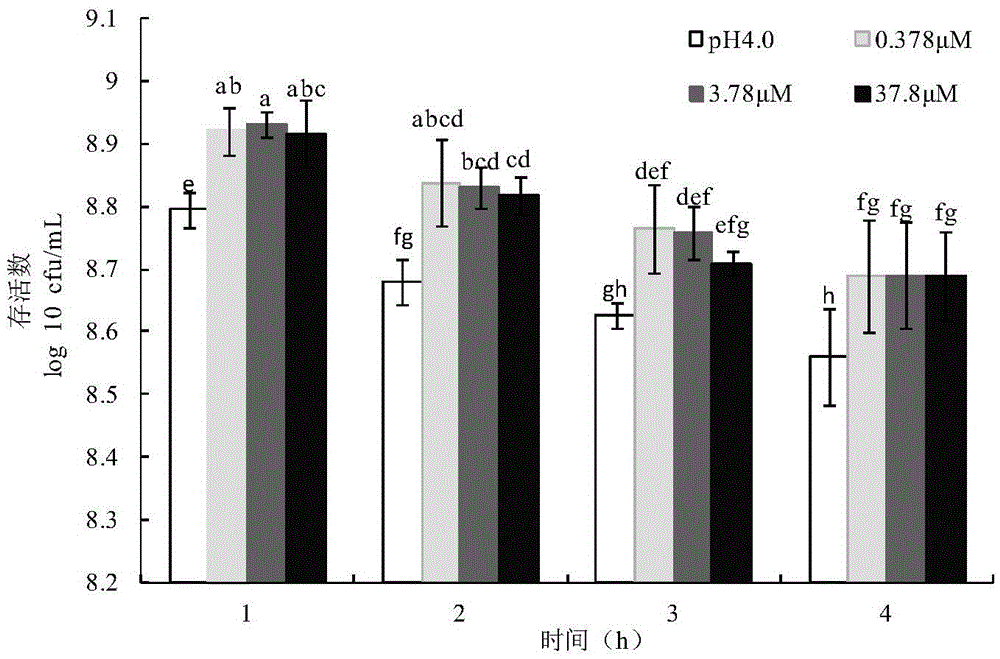 Application of AI-2 in improving bacteria acid resistance and/or oxygen resistance and method for improving bacteria acid resistance and/or oxygen resistance