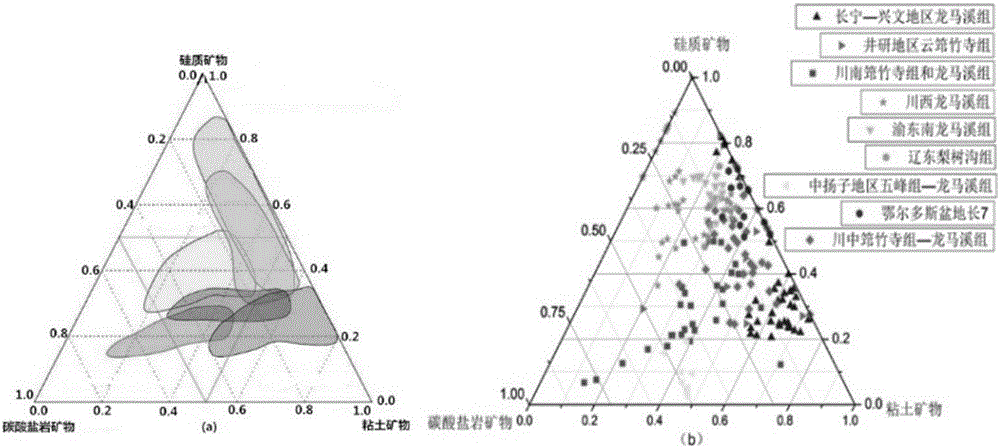 Shale gas reservoir compressibility evaluation method based on weight distribution