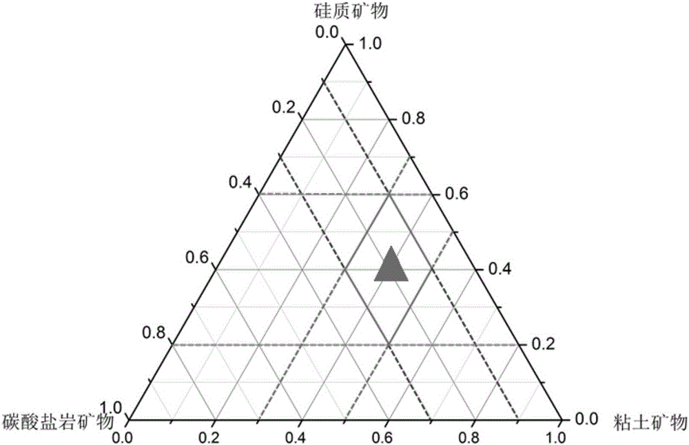 Shale gas reservoir compressibility evaluation method based on weight distribution