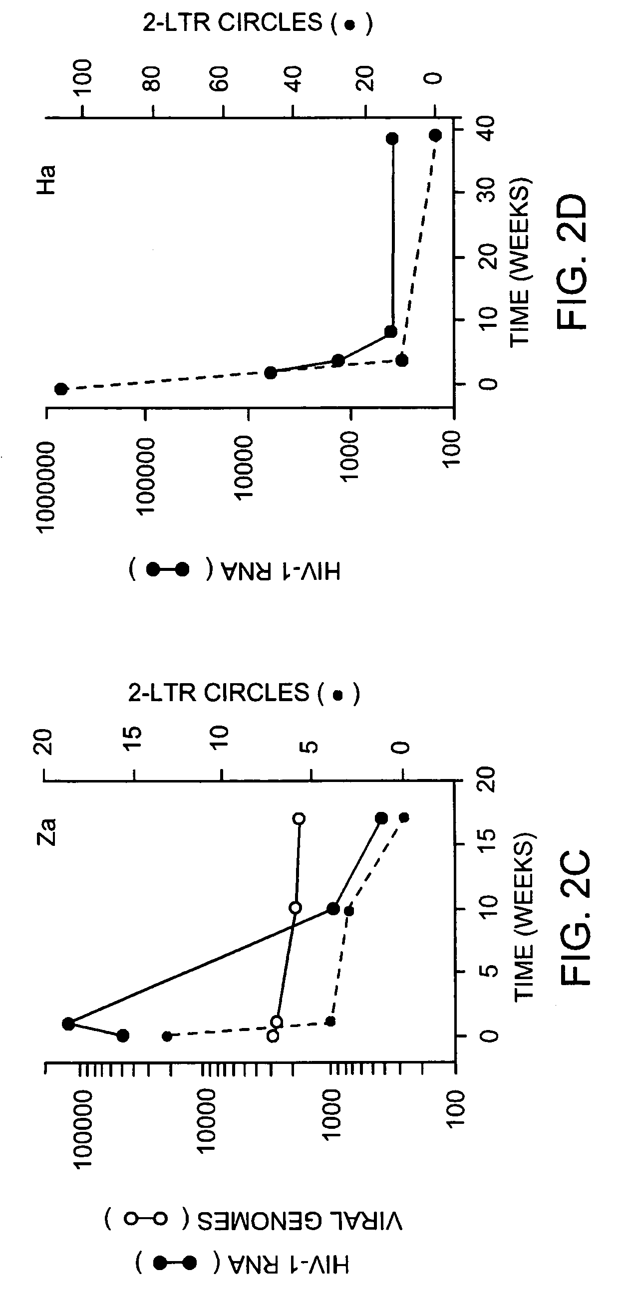 Detection of drug-resistant human immunodeficiency virus