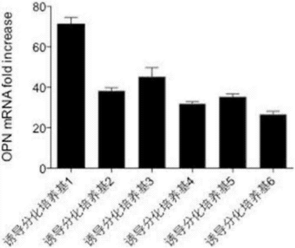 Human mesenchymal stem cell osteogenic induction differential medium and preparation method