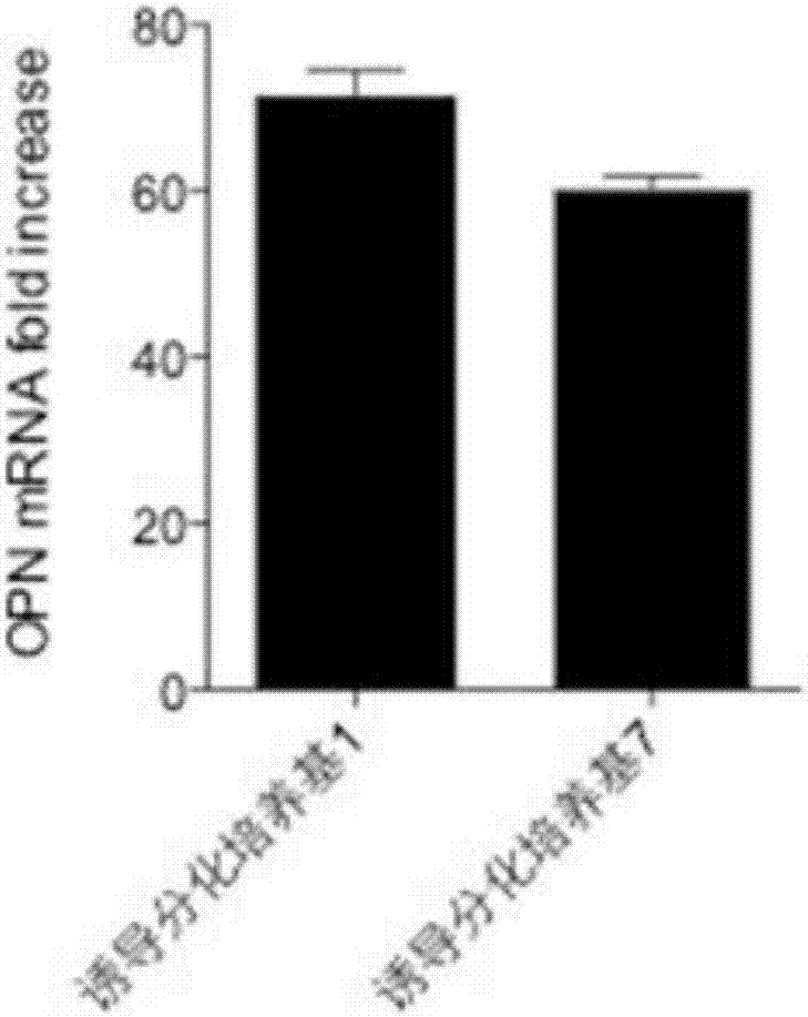 Human mesenchymal stem cell osteogenic induction differential medium and preparation method