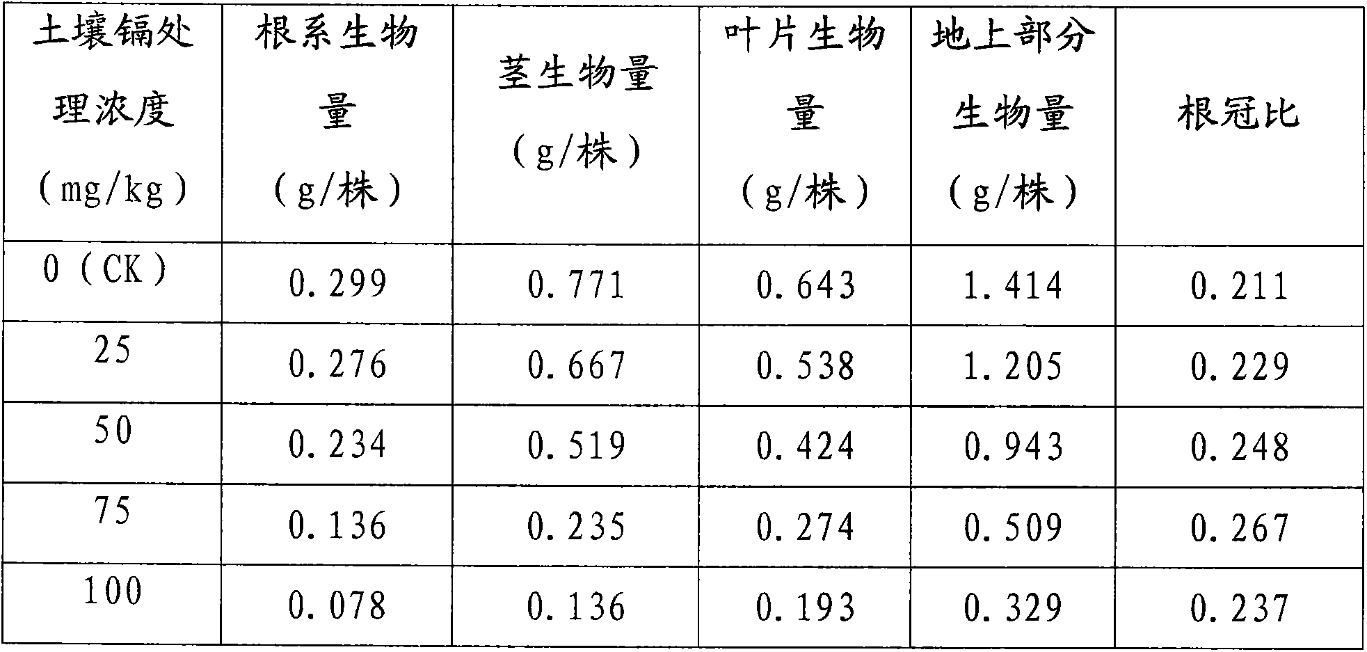 Remediation method for heavy metal cadmium pollution of orchard soil based on galinsoga parviflora