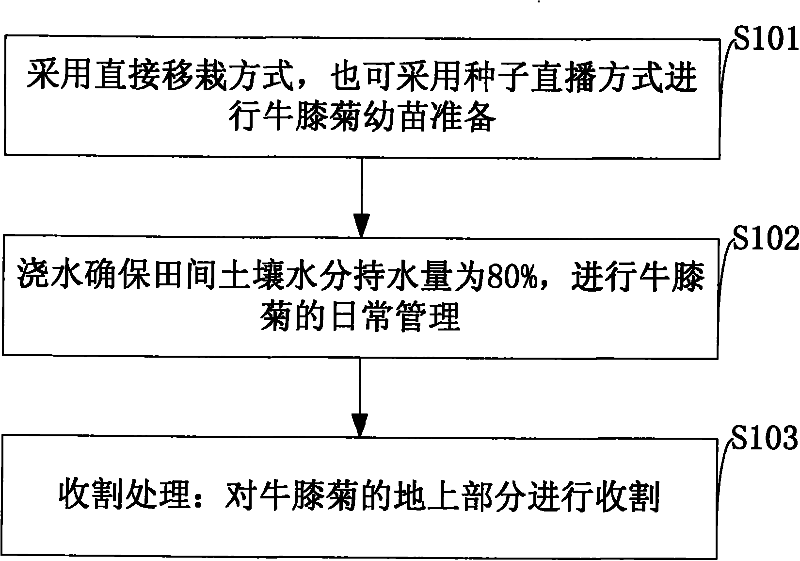 Remediation method for heavy metal cadmium pollution of orchard soil based on galinsoga parviflora