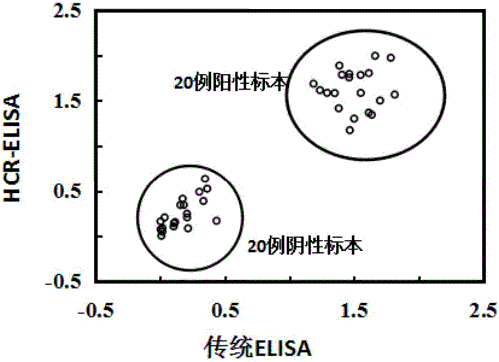 Nondiagnostic HCV (hepatitis c virus) antibody immunodetection method and kit