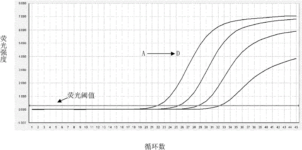 Nucleic acid quantitative detection kit for hepatitis C virus (HCV)