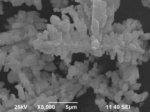 Preparation method for bismuth phosphate photocatalyst with different microstructures