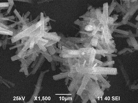 Preparation method for bismuth phosphate photocatalyst with different microstructures