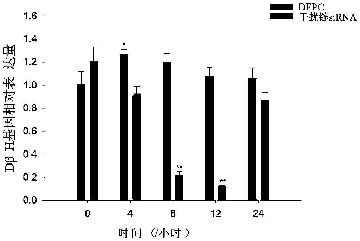 Application of target gene in shellfish larva metamorphosis development process researched by RNA interference technology