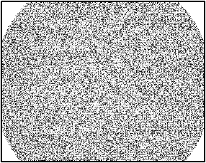 Anti-allergy preparation and preparation method and application thereof