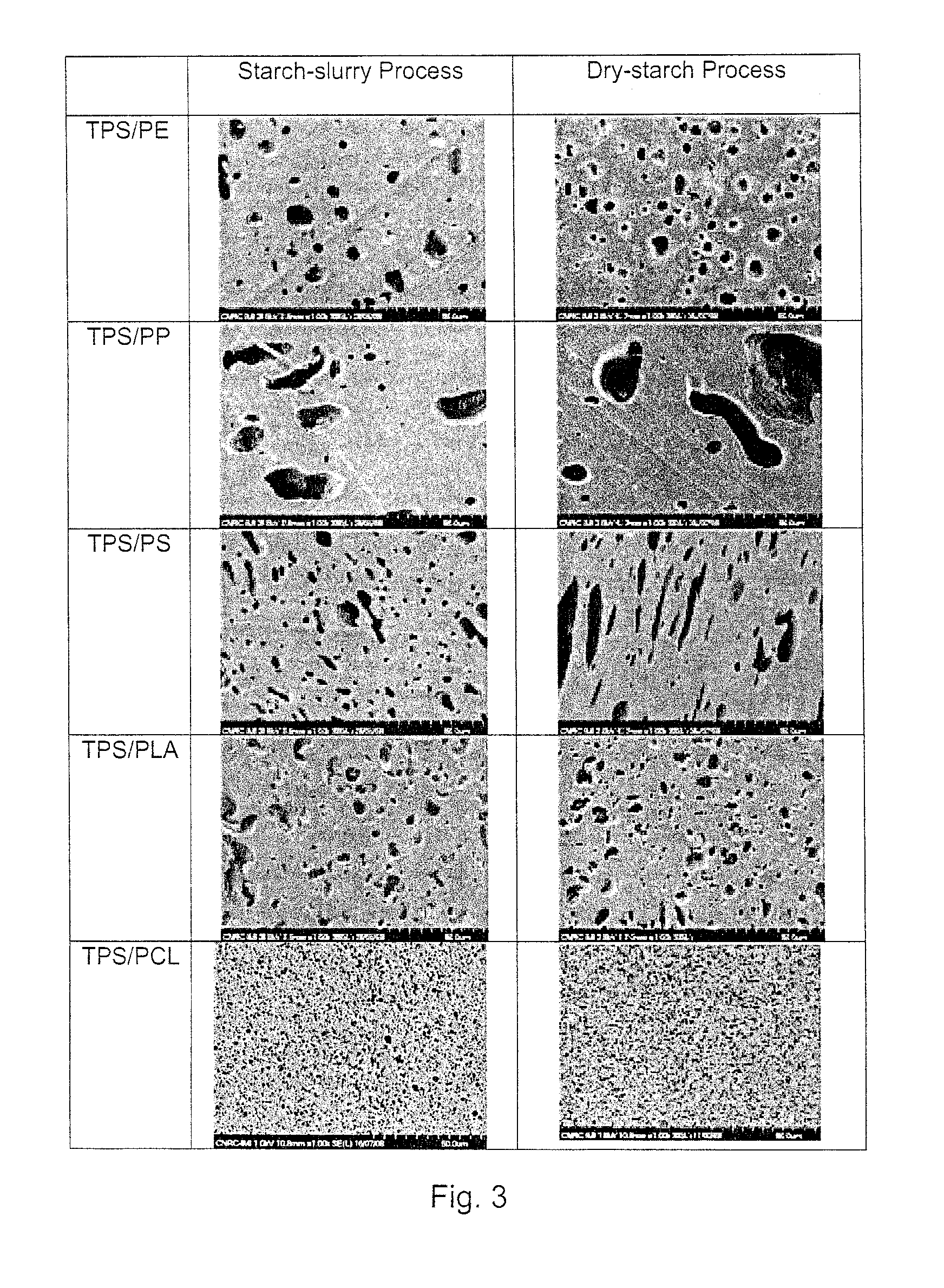 Process of Producing Thermoplastic Starch/Polymer Blends