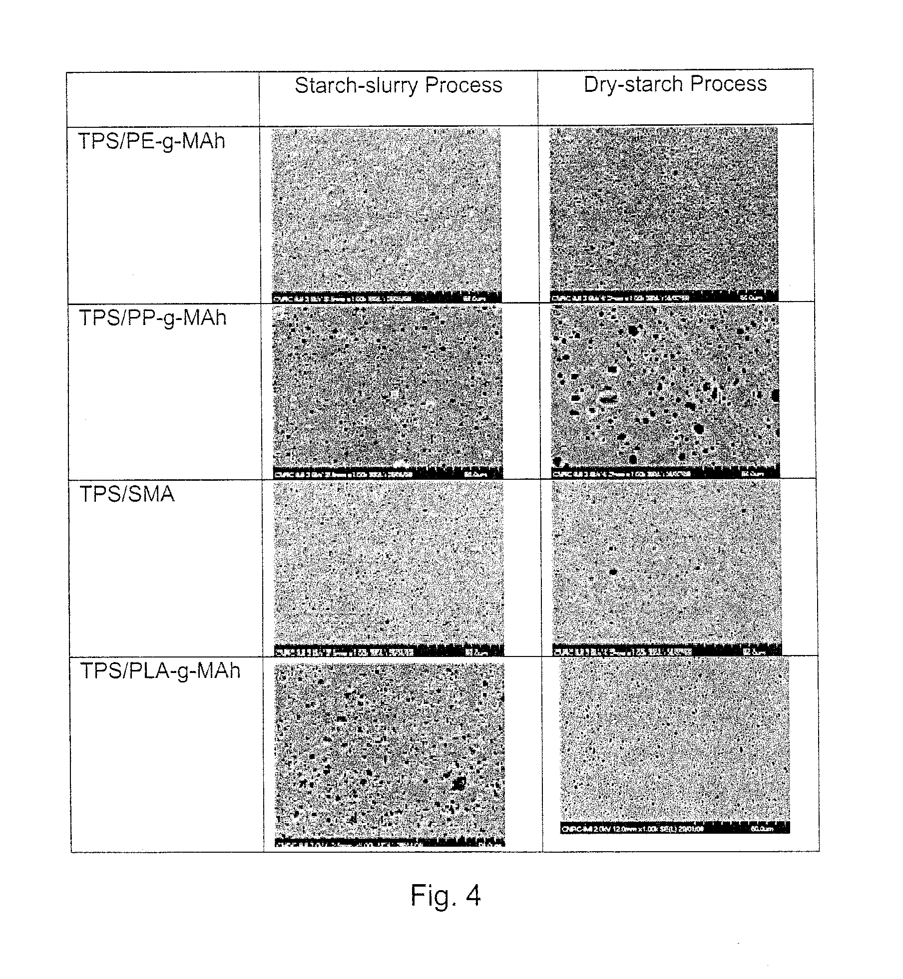 Process of Producing Thermoplastic Starch/Polymer Blends