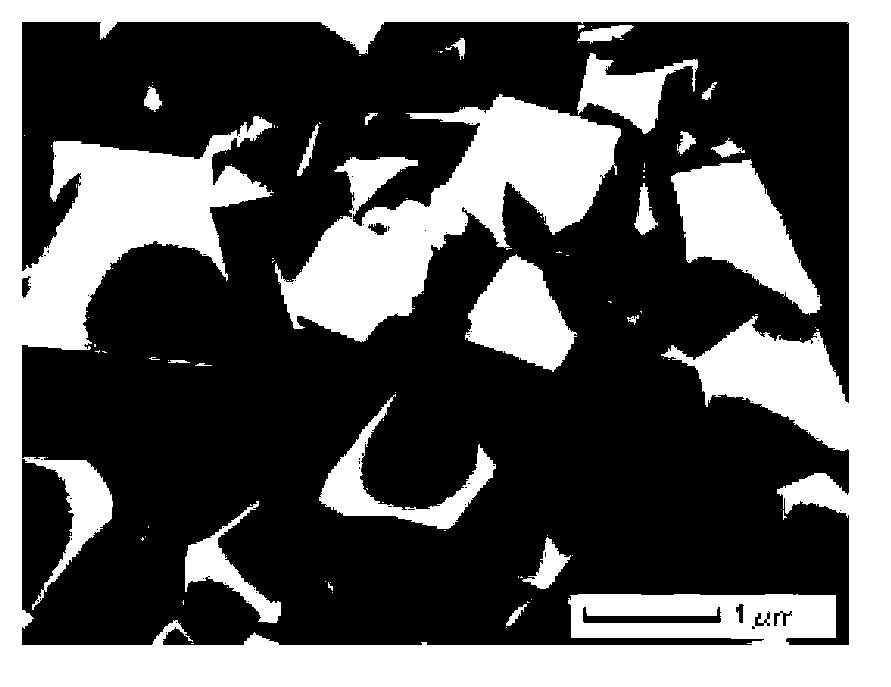 Stainless steel tube applied to high-parameter ultra-supercritical thermal power generating unit and manufacturing process thereof