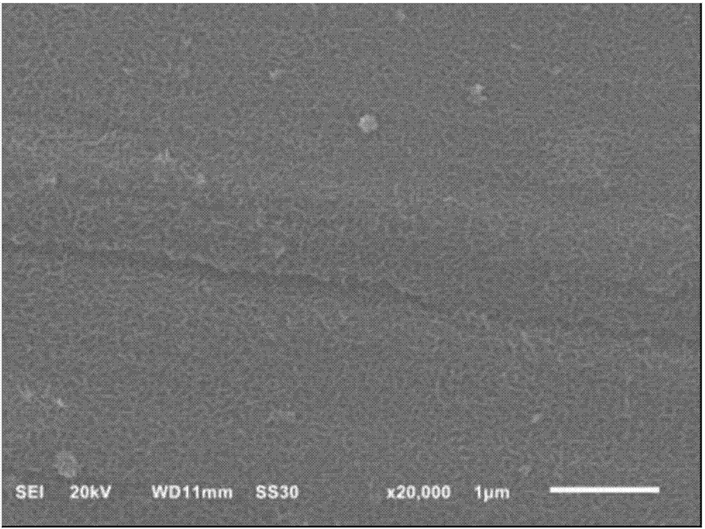 Preparation method for anti-corrosion zirconia/poly(lactic-co-glycolic acid) (PLGA) hybrid coating based on atomic layer deposition