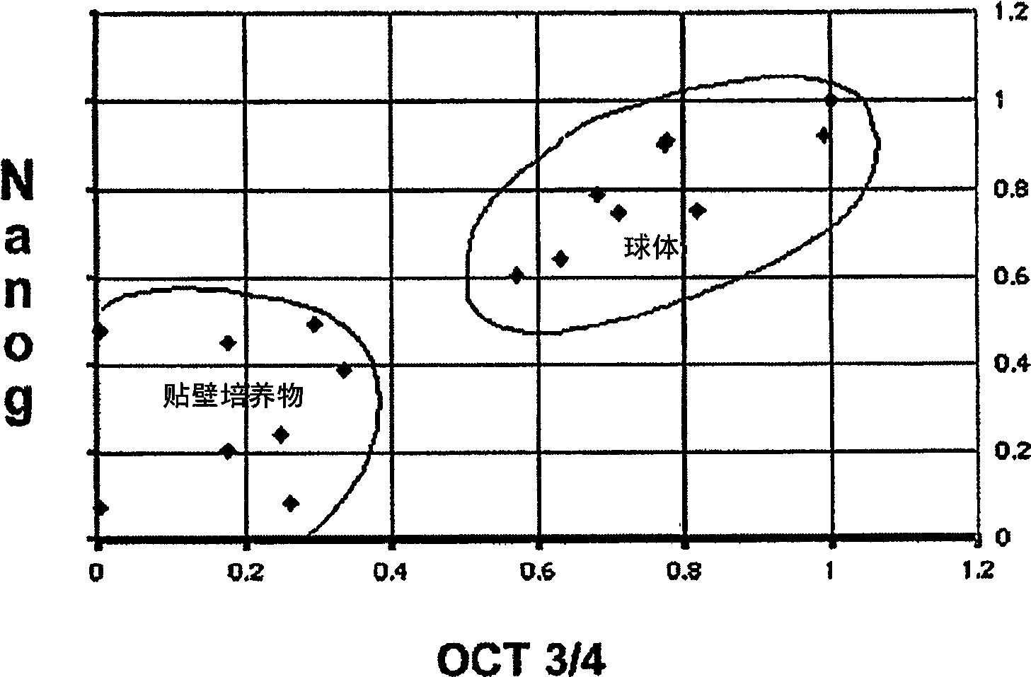 Compositions enriched in neoplastic stem cells and methods comprising same