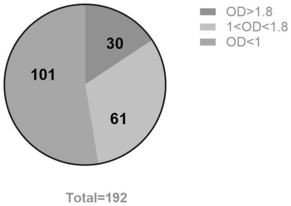 Single chain antibody capable of resisting S2 protein on surface of novel coronavirus SARS-CoV-2 and applications thereof