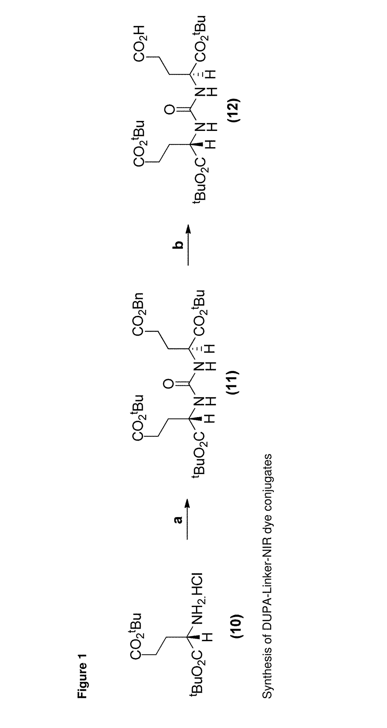 PSMA-targeted NIR dyes and their uses