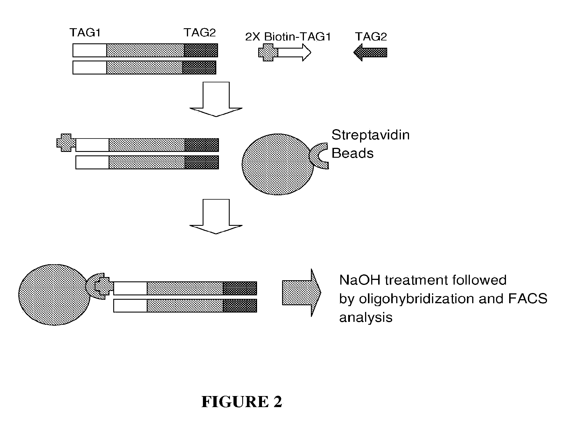 Microvesicle-based assays