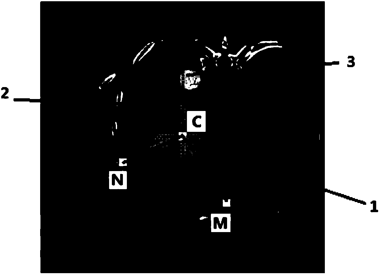 Heart image processing method in medical image