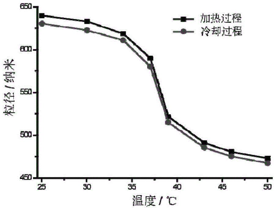 Gold-core-composite nano-carrier as well as preparation method and application thereof