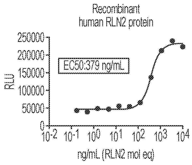 Polynucleotides encoding relaxin