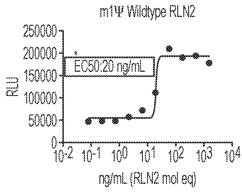 Polynucleotides encoding relaxin