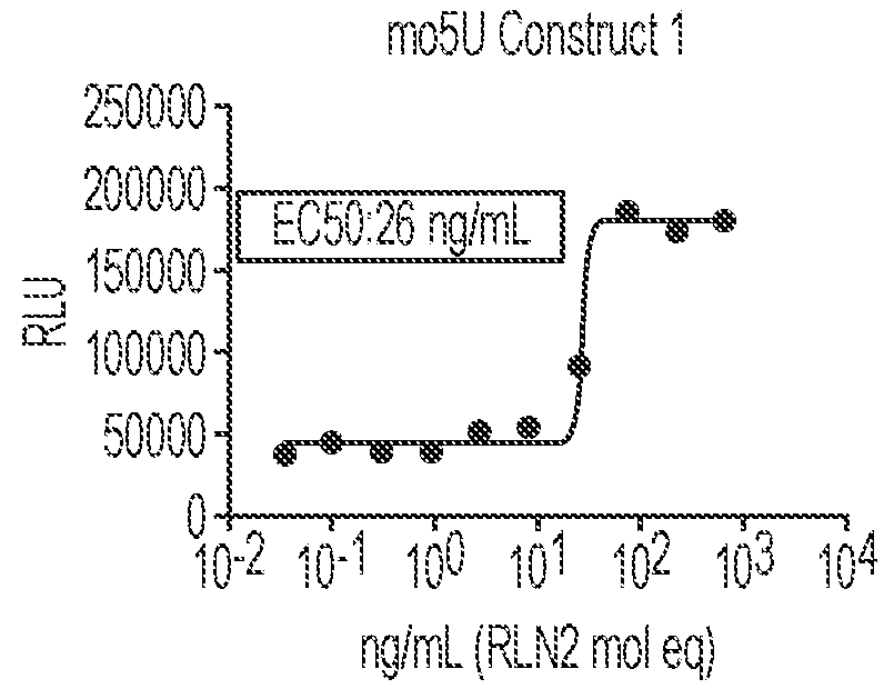 Polynucleotides encoding relaxin