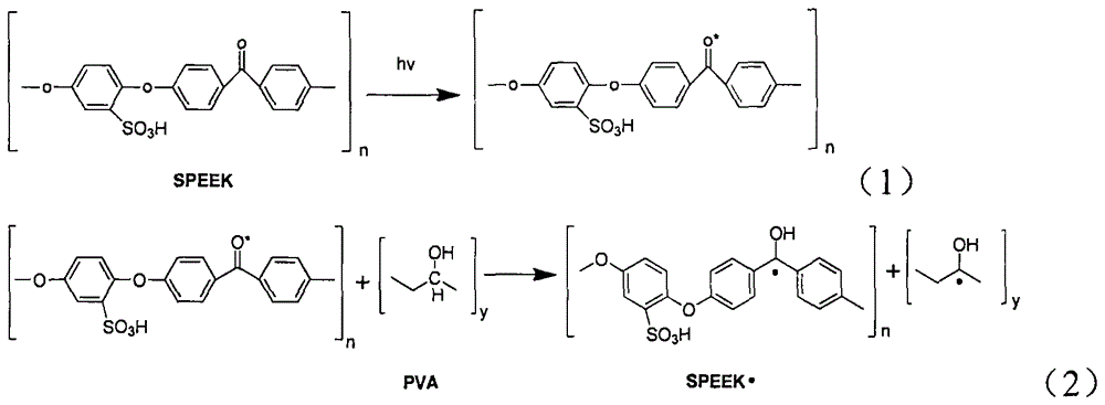 Production method of conductive pure-cotton fabric